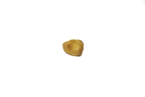 Klasična sfogliatella